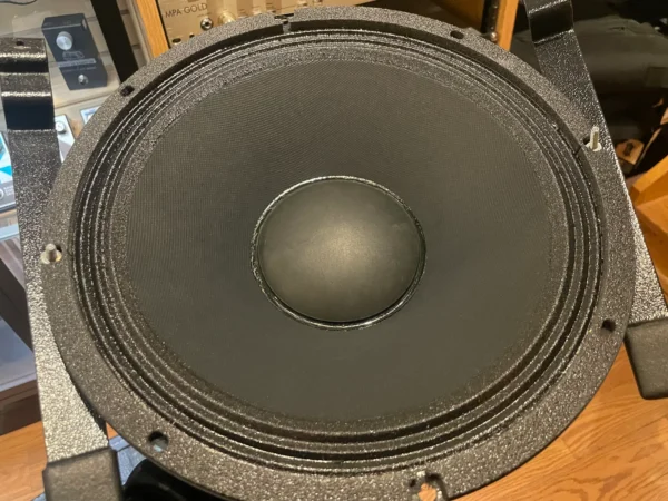 Celestion Neo 250 Copperback 12in