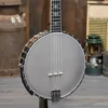 Gold Tone CEB-5 5-String Cello Banjo With Case